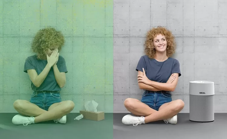 Máy lọc không khí IDEAL - Giải pháp tối ưu cho người dị ứng phấn hoa